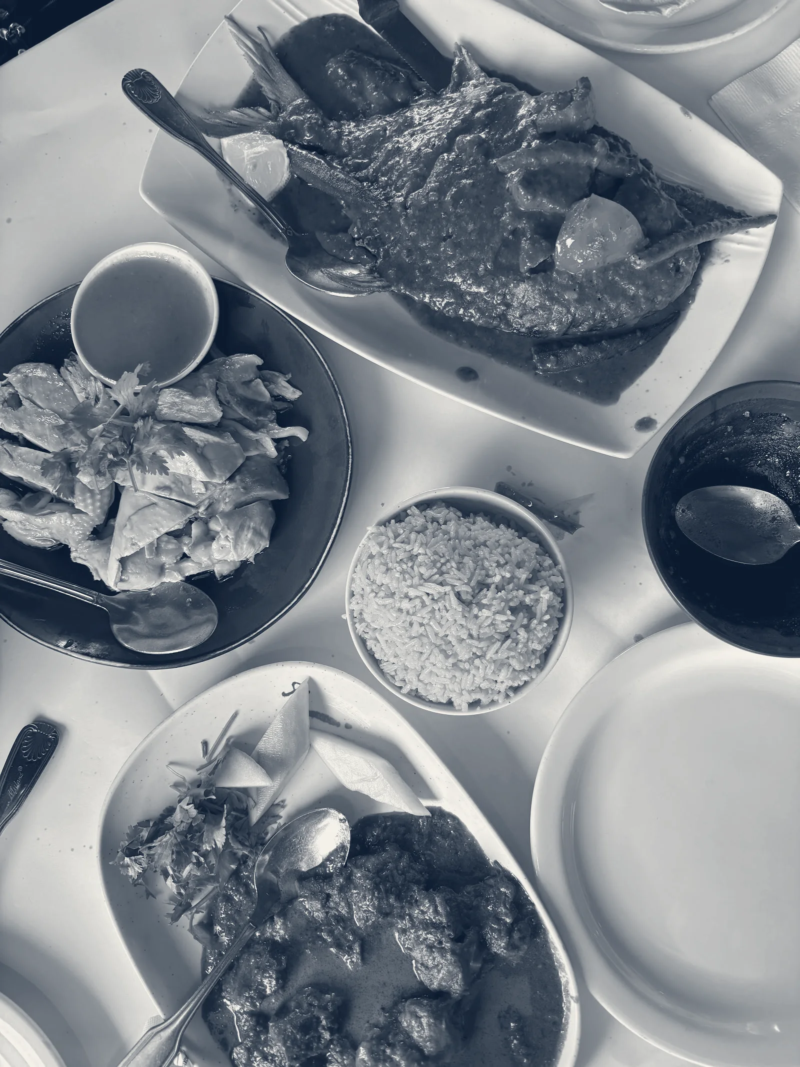 Banana Leaf Restaurant — Milpitas, California