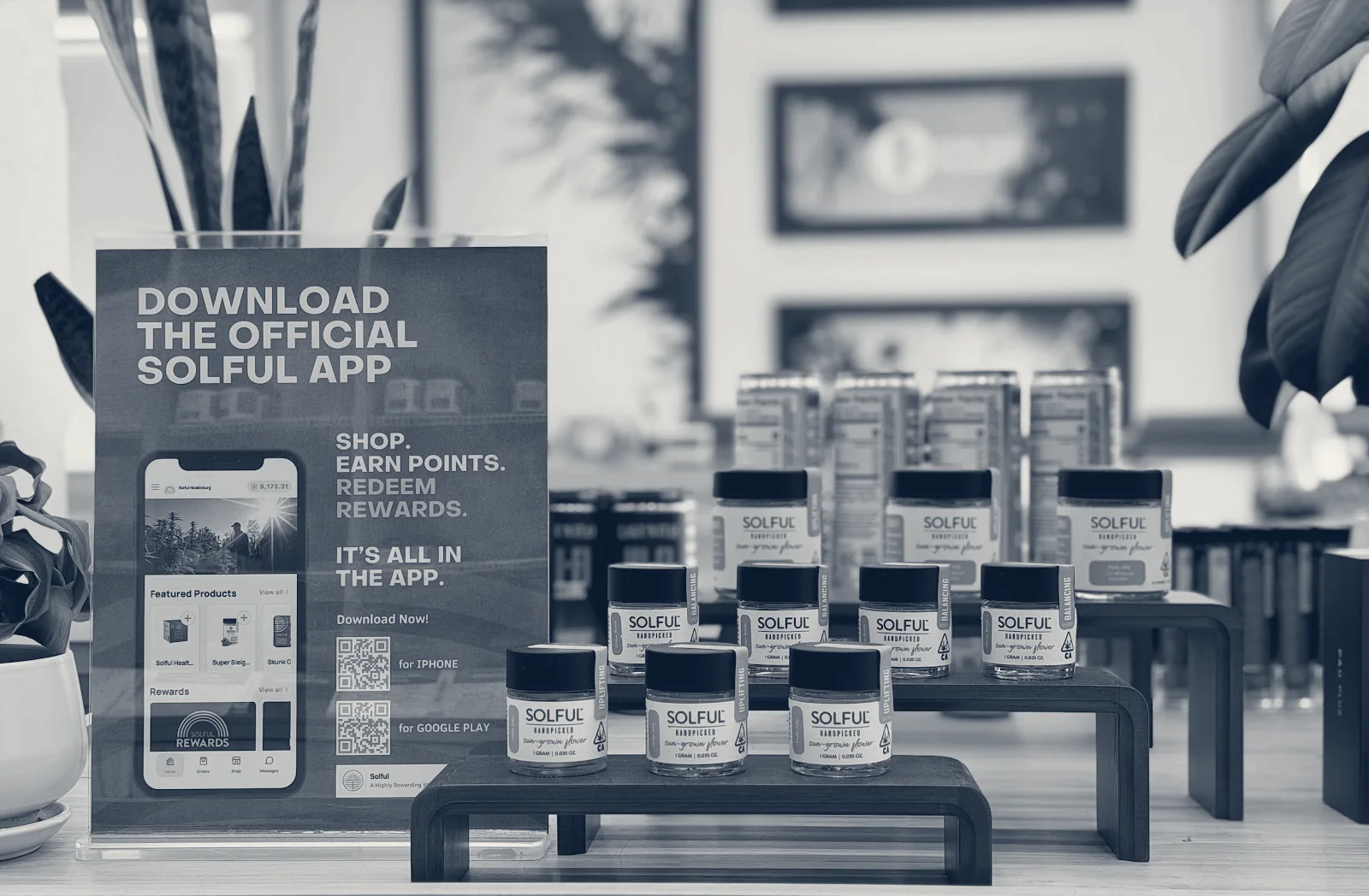 Solful Cannabis Dispensary - San Francisco — San Francisco, California