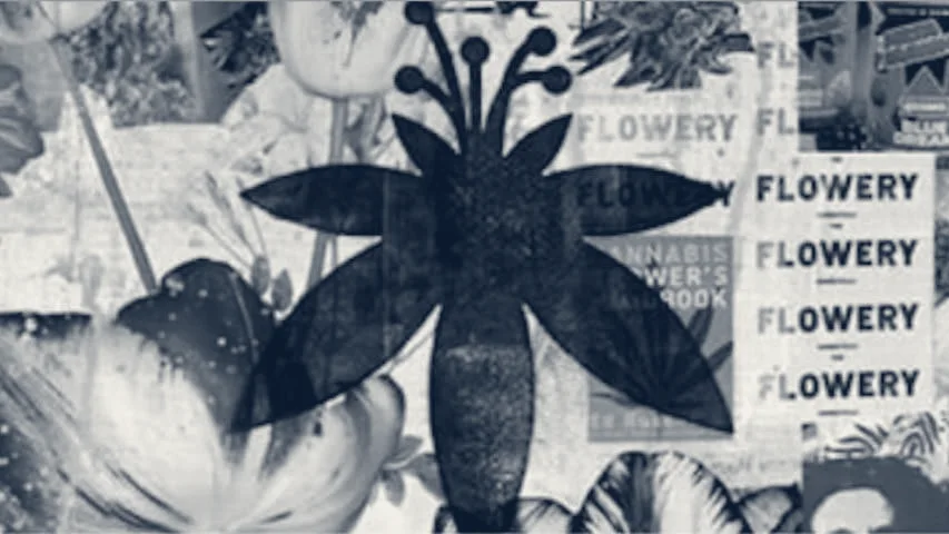 The Flowery Dispensary Upper West Side — New York, New York