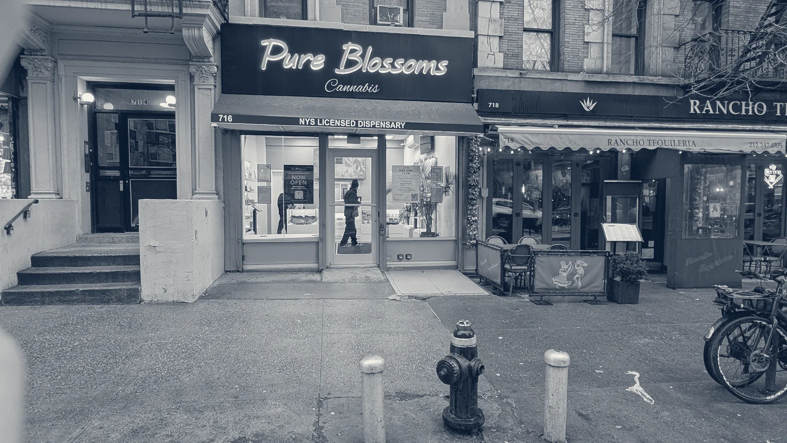 Pure Blossoms | Legal Cannabis Dispensary — New York, New York