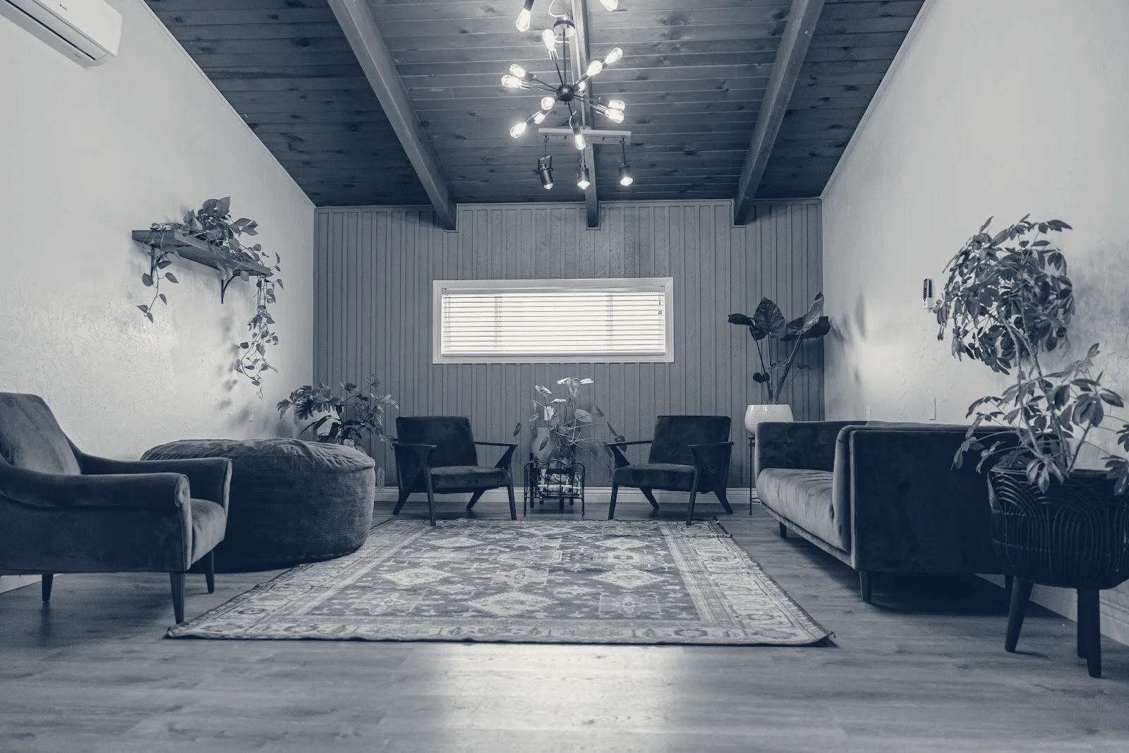 bizdetail web design — Concord, California