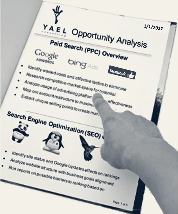 Yael Consulting — Los Angeles, California