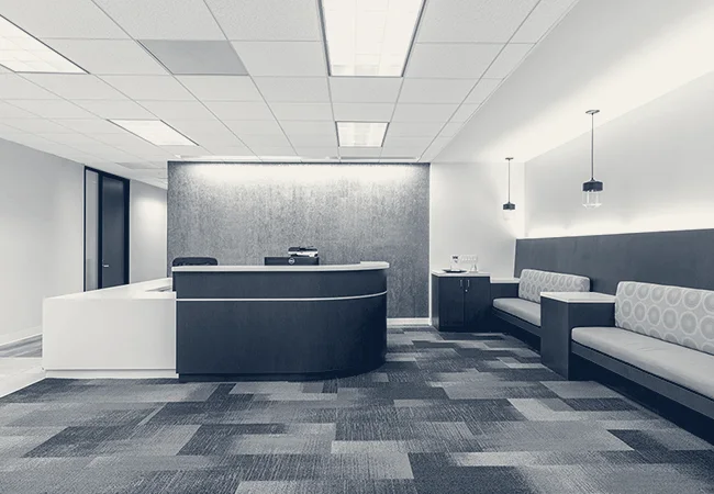 Canesta Digital Marketing — Los Angeles, California