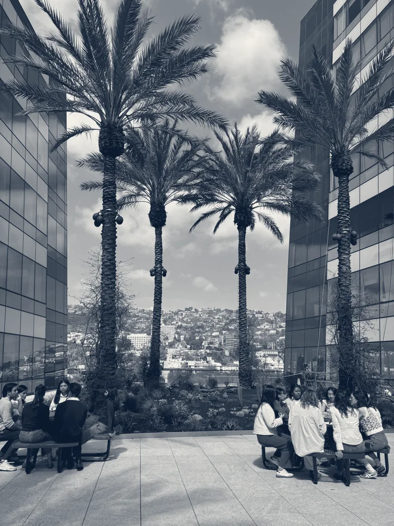 DeciBio Consulting — West Hollywood, California