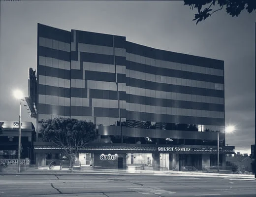 Avidon Marketing Group - SEO Agency — Los Angeles, California