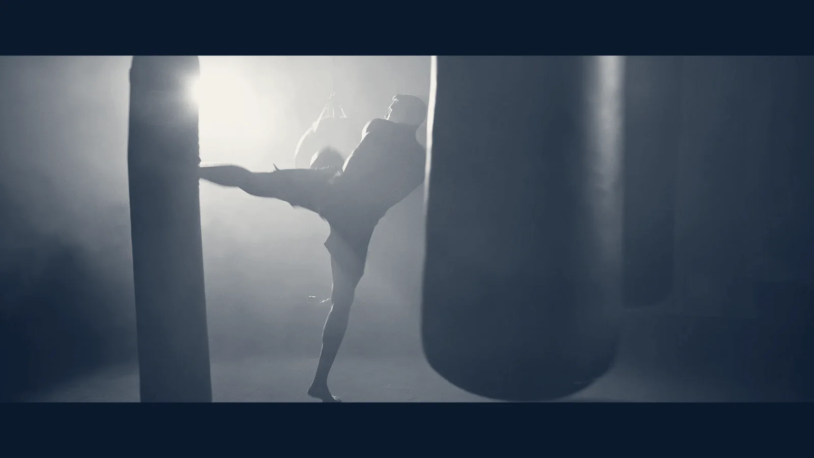 ZANE Productions - TV Commercial & Music Video Production Company — Los Angeles, California