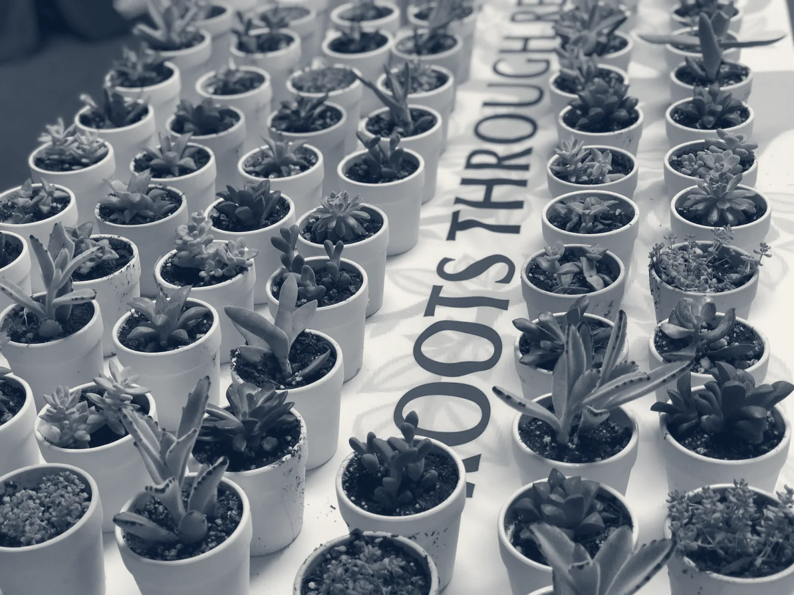 Roots Through Recovery | Addiction & Drug Rehab Center of Long Beach — Long Beach, California