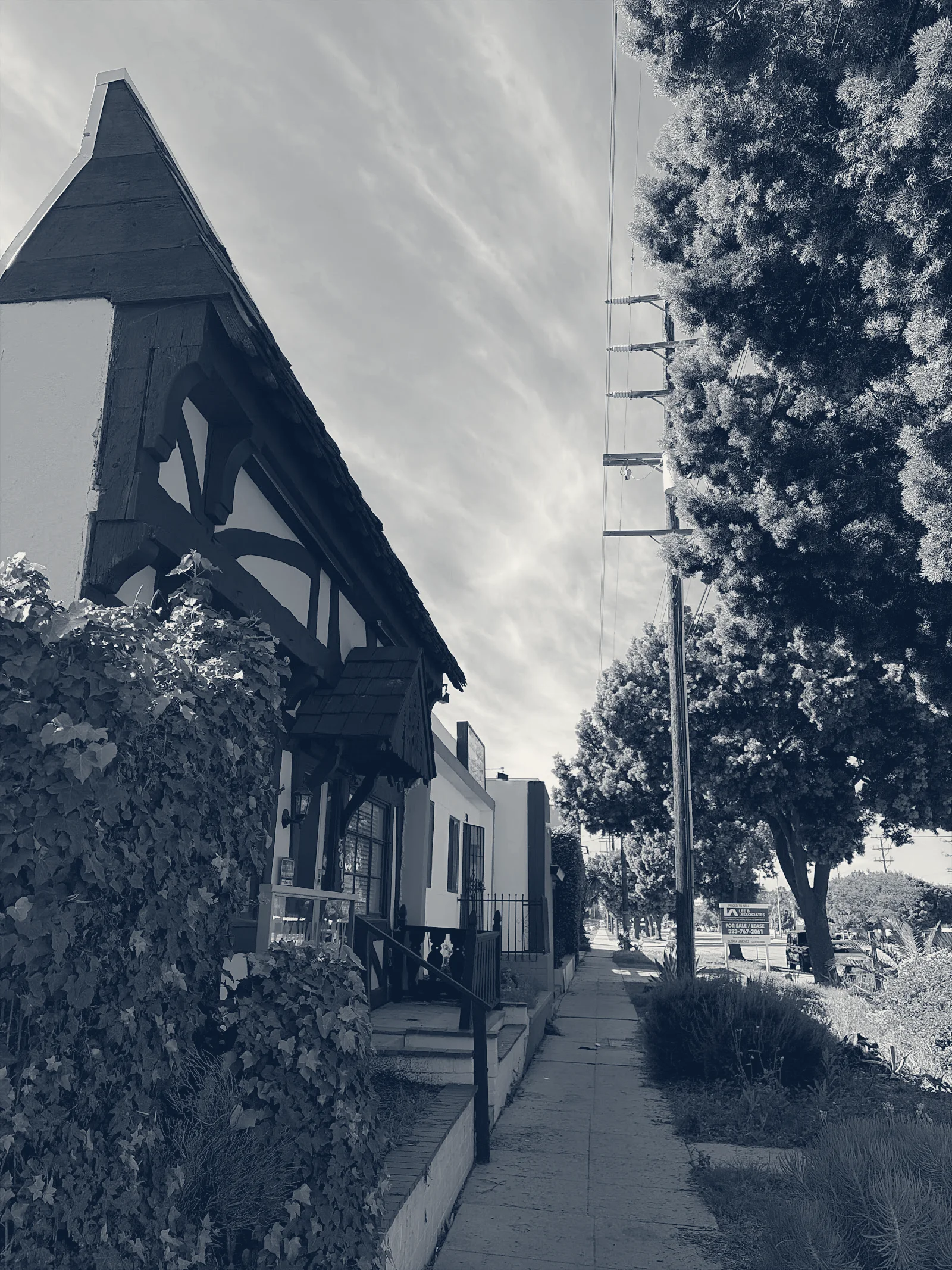 Economy Tax Services — Los Angeles, California