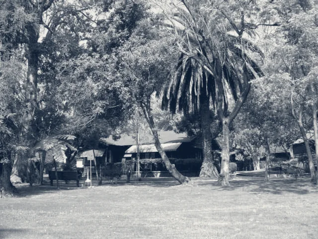 Las Encinas Hospital — Pasadena, California