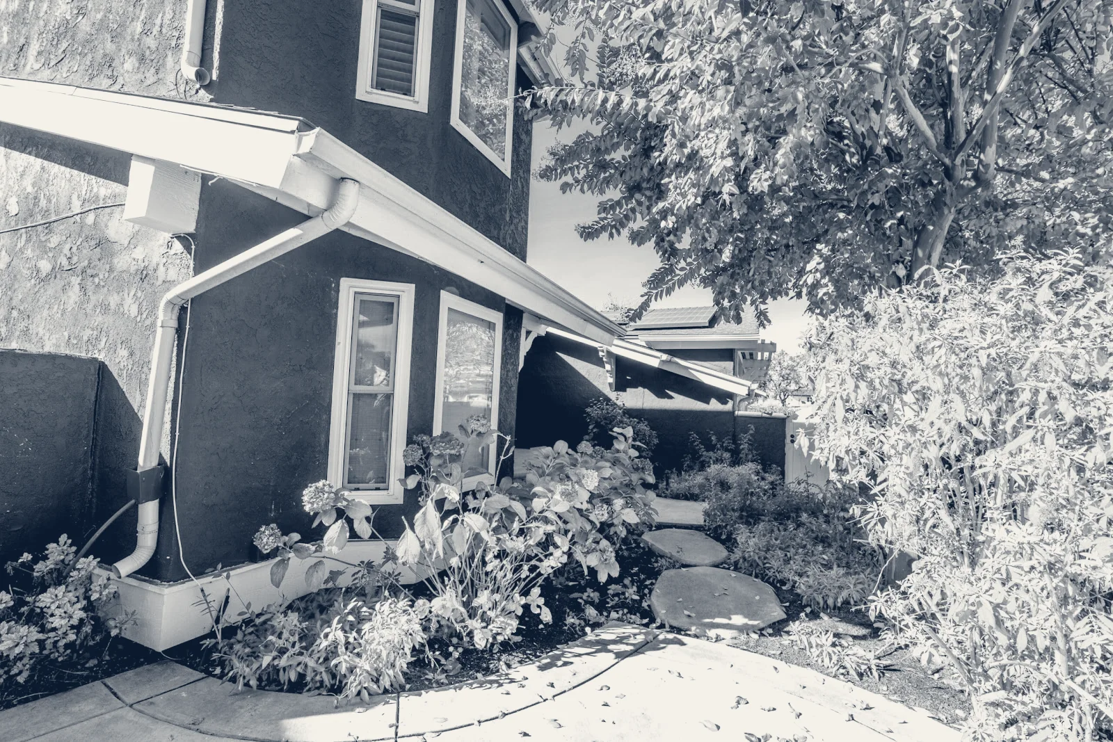 Ocean Coast Recovery — Costa Mesa, California