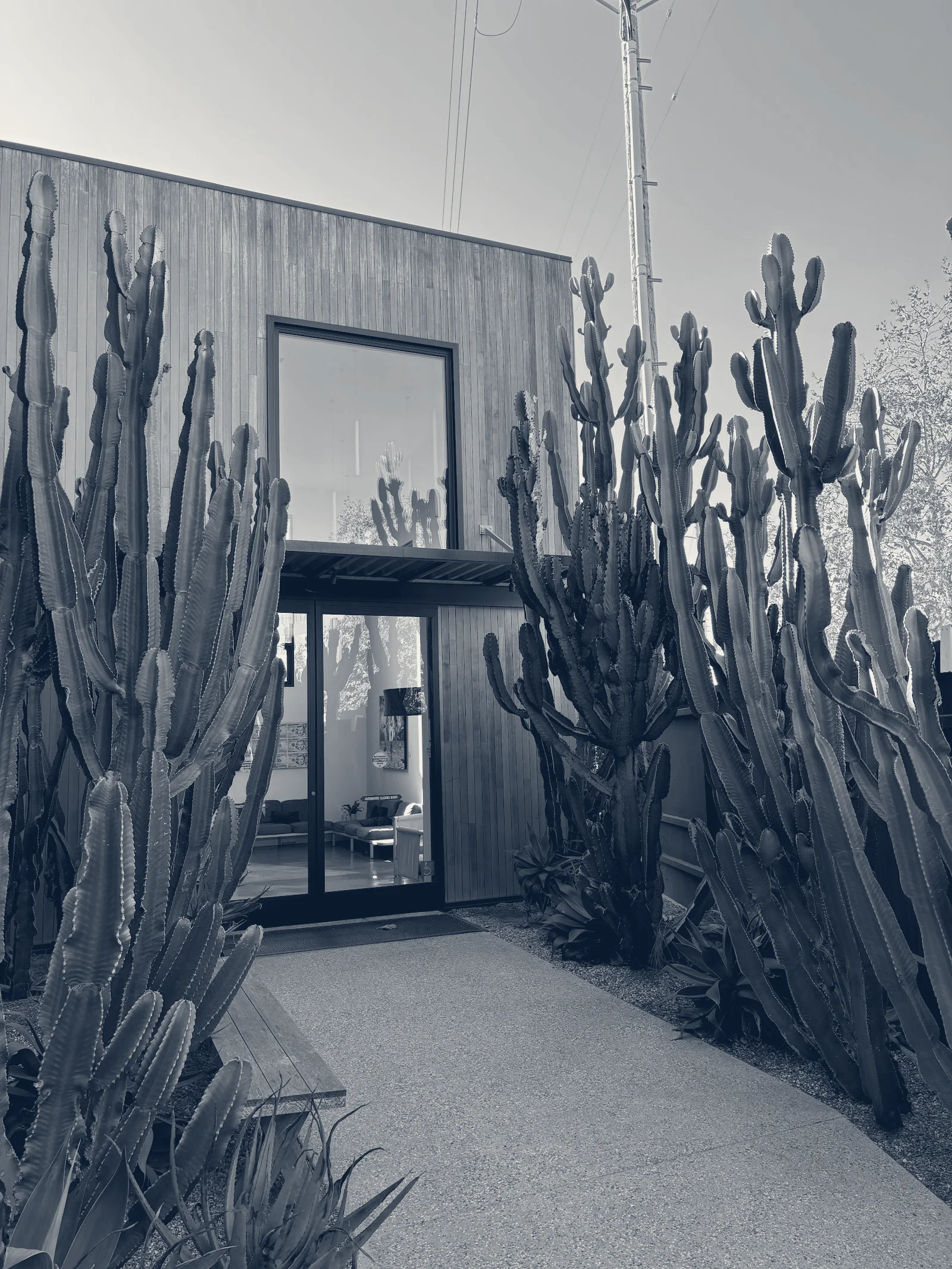 MDRN Wealth — Venice, California