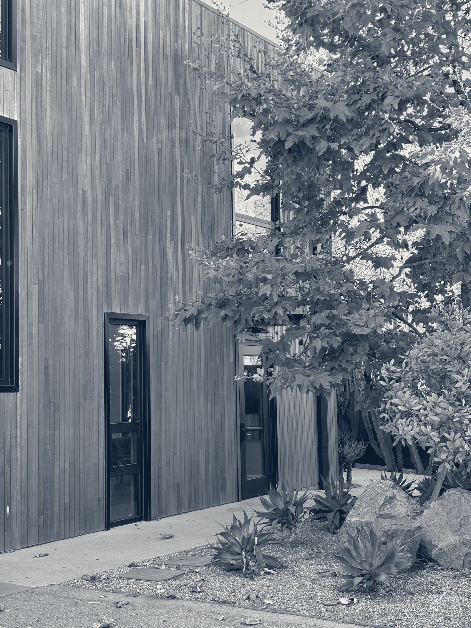 MDRN Wealth — Venice, California