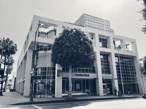 IRS Audit Group — Beverly Hills, California