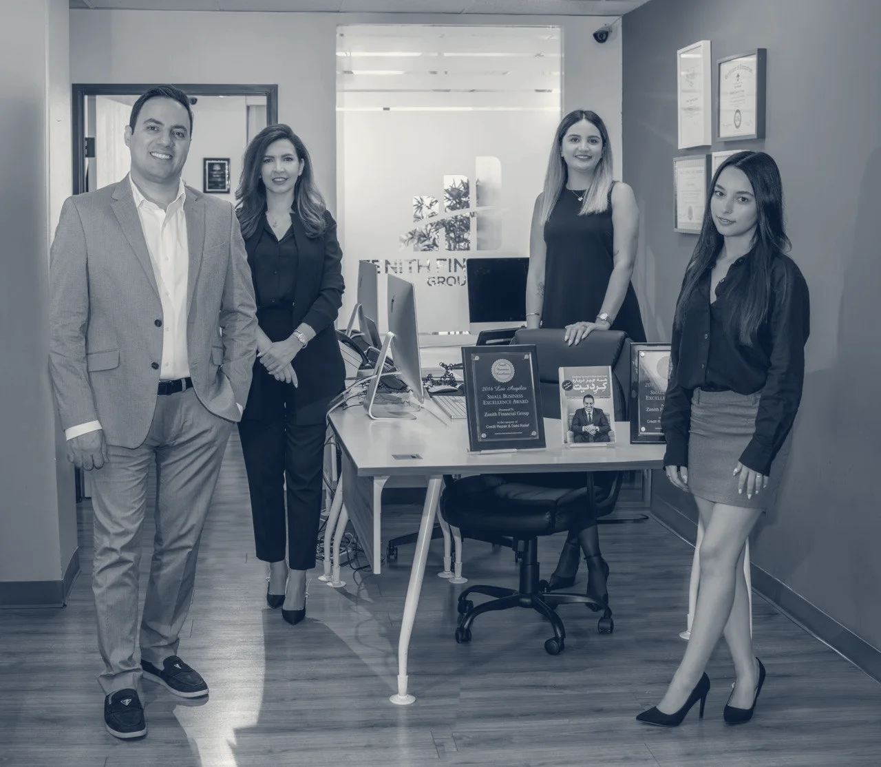 Zenith Consultancy Group — Encino, California
