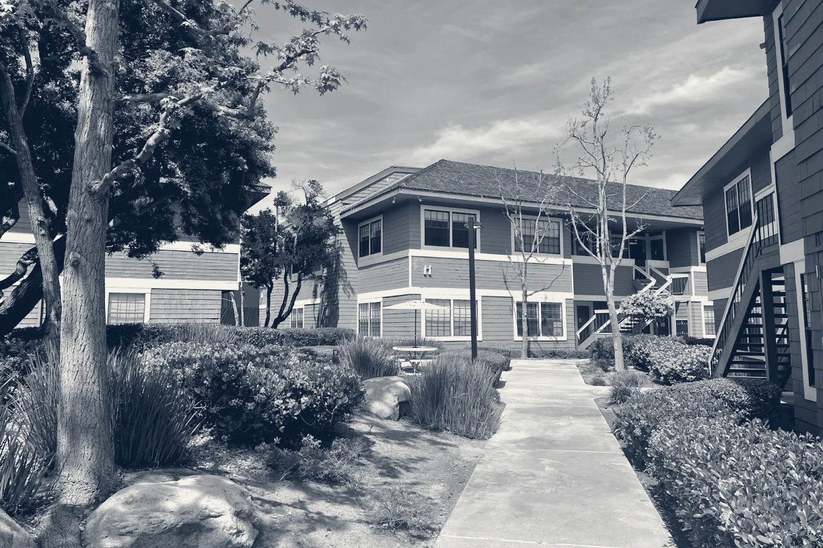 D'Amore Mental Health — Costa Mesa, California