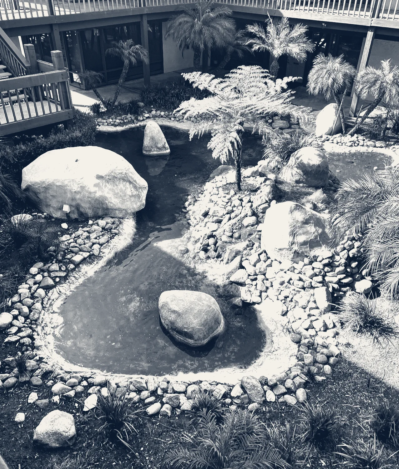 Mental Health Resource — Santa Ana, California