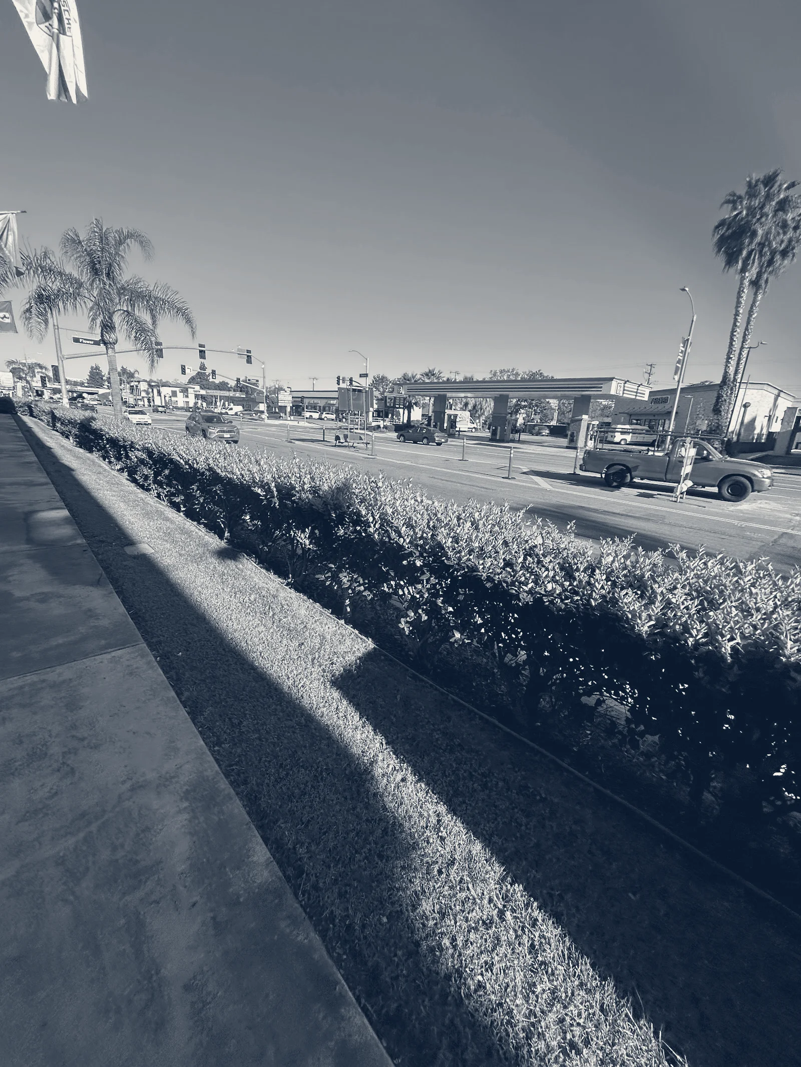 Mosaic Mental Health Group — Orange, California