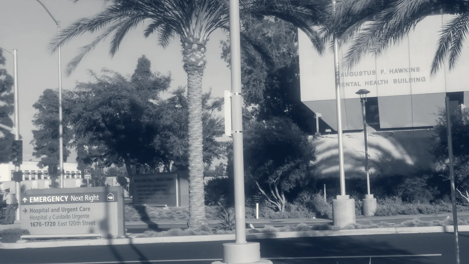 Augustus Hawkins Mental Health Center — Los Angeles, California