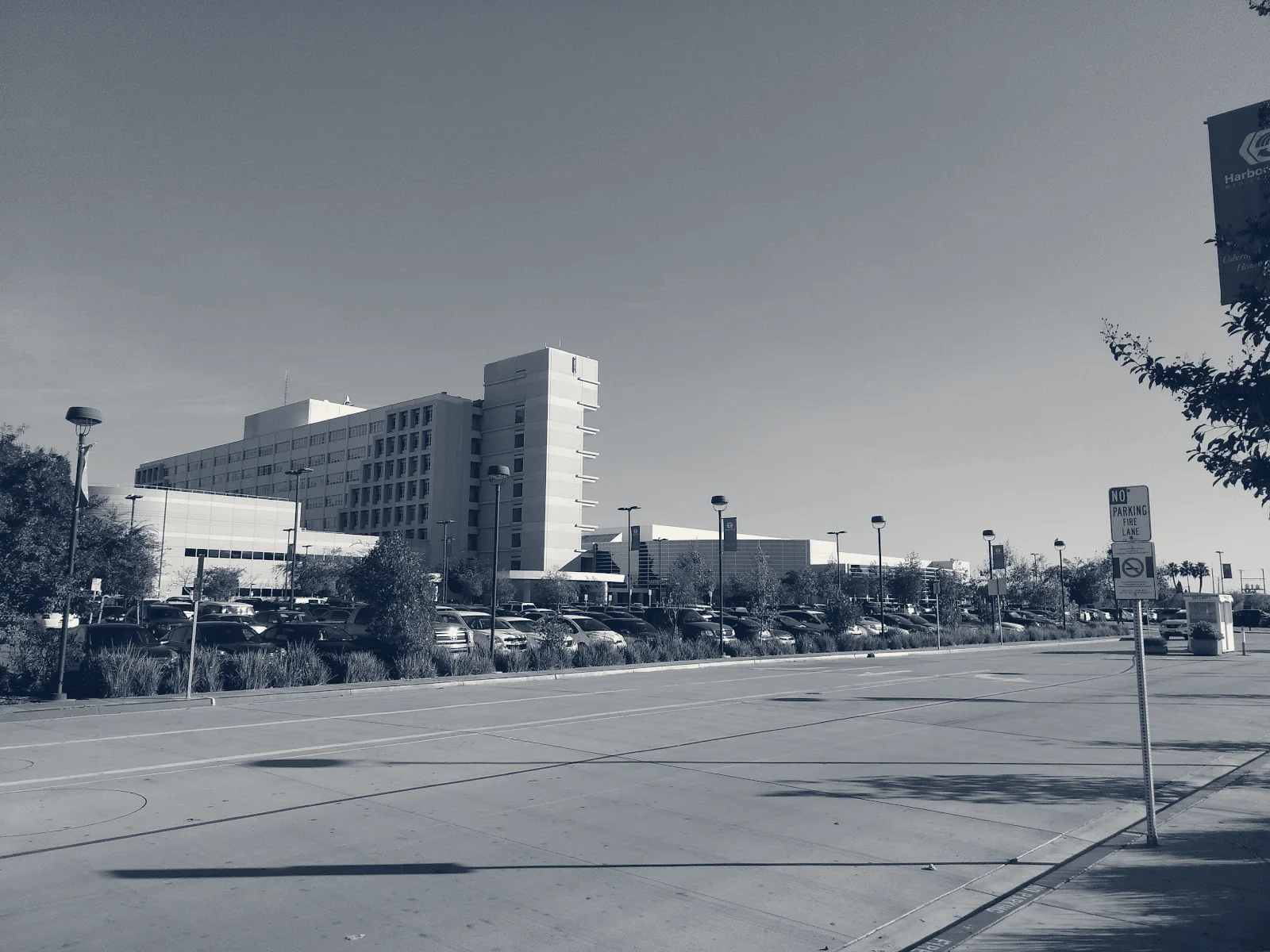 Harbor-UCLA Medical Center — Torrance, California