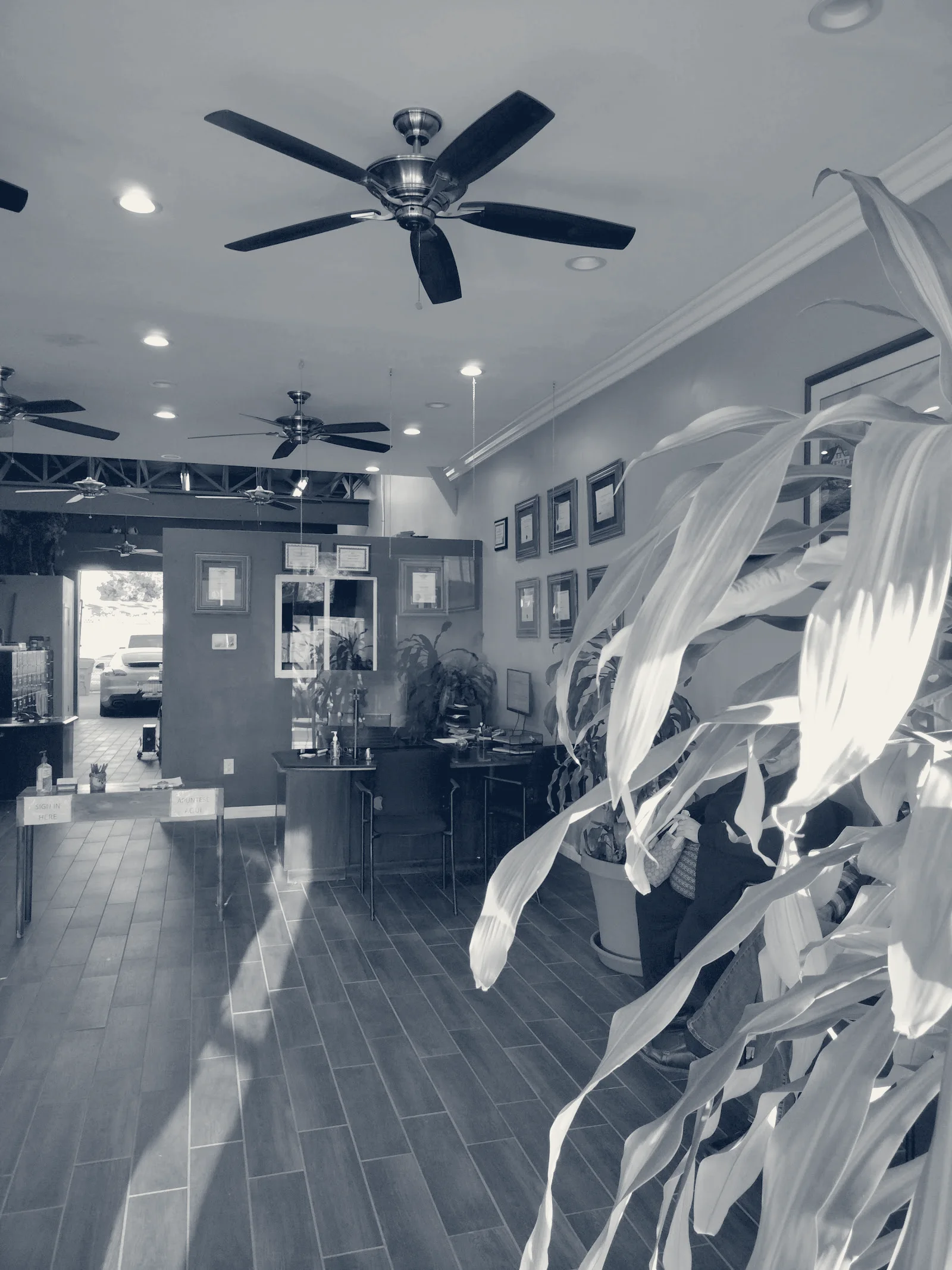 Alfaro Income Tax Services — Lynwood, California