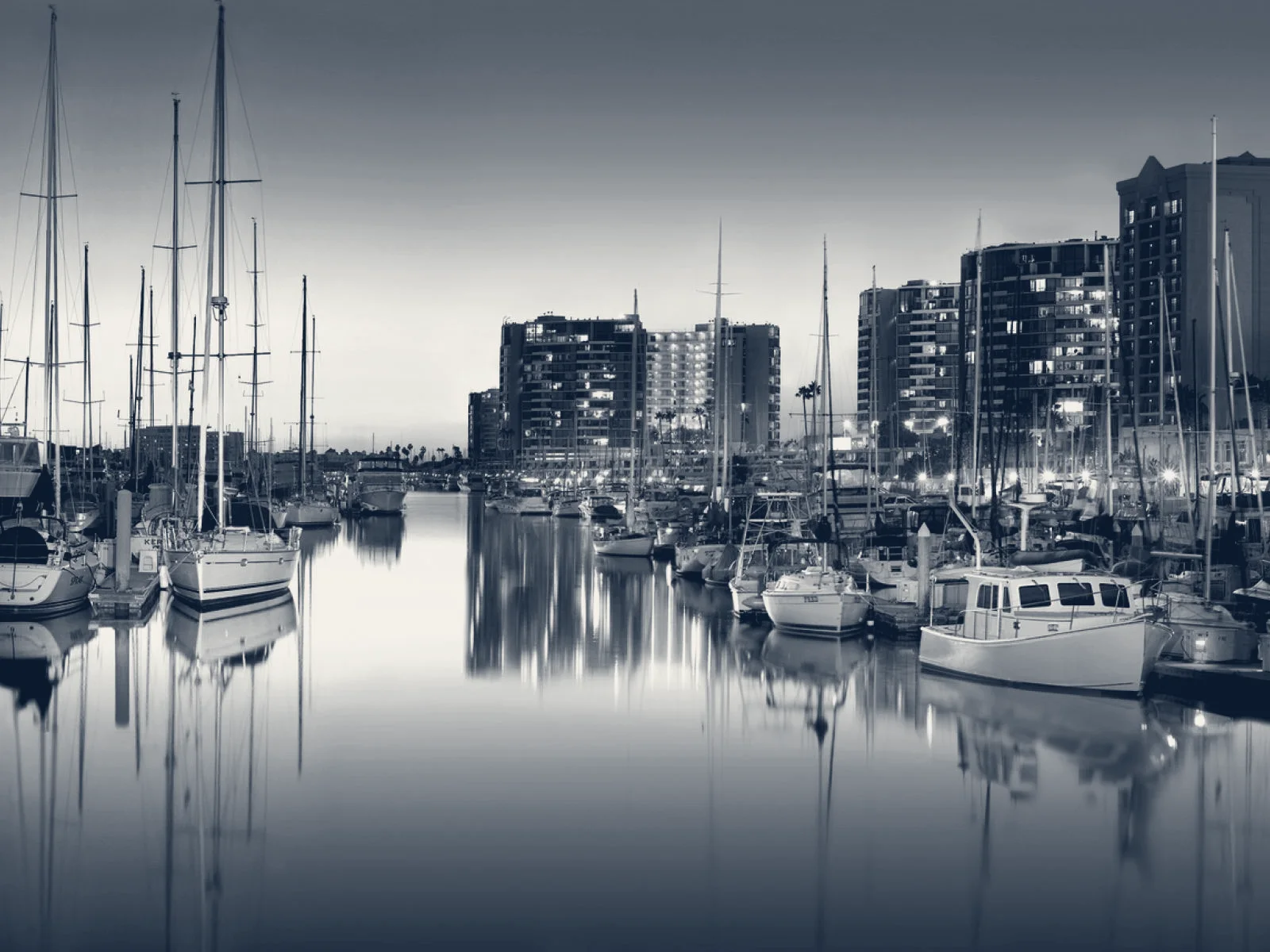 Noir Financial — Santa Monica, California