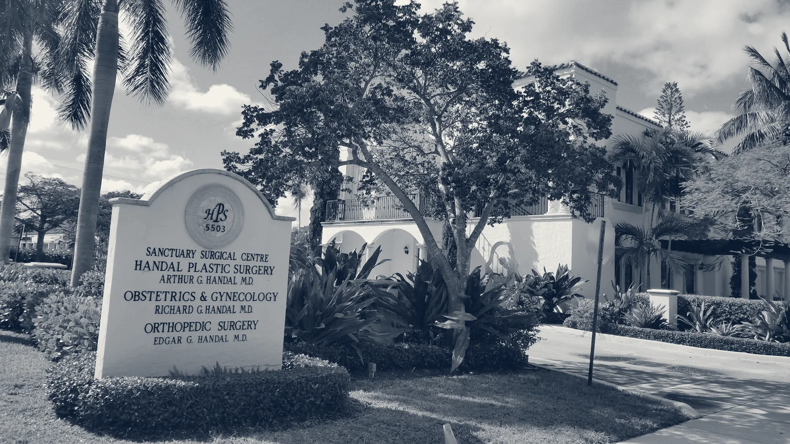 Handal Plastic Surgery: Dr Arthur G. Handal, MD — Boca Raton, Florida