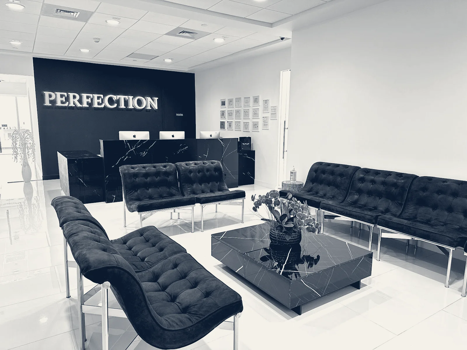 Perfection Plastic Surgery & Med Spa — Sunny Isles Beach, Florida