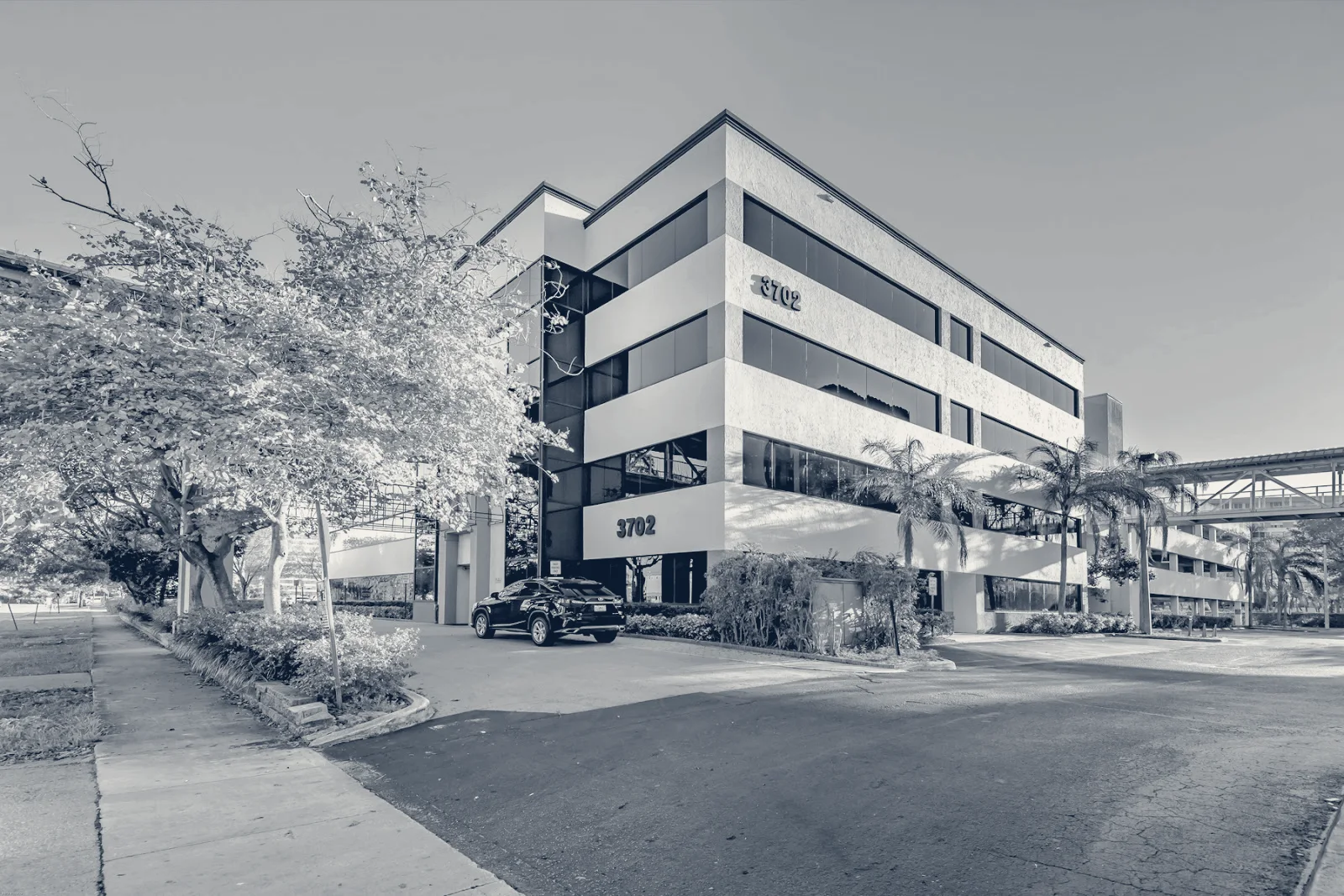 Plus Cosmetic Surgery Center — Hollywood, Florida