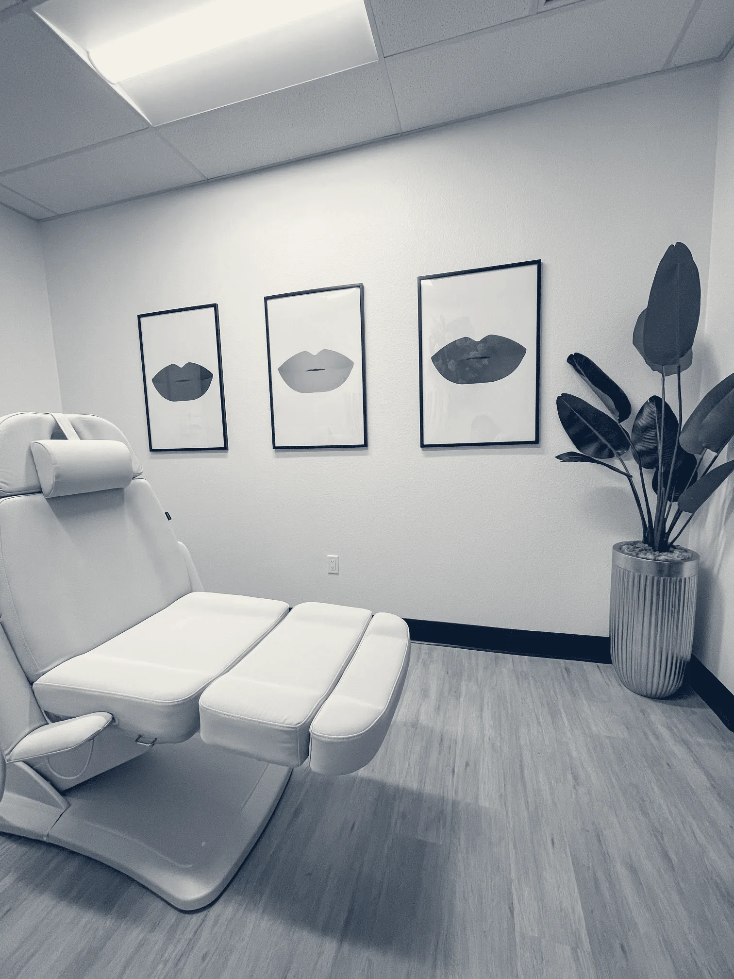 The Plump Room — Coral Gables, Florida