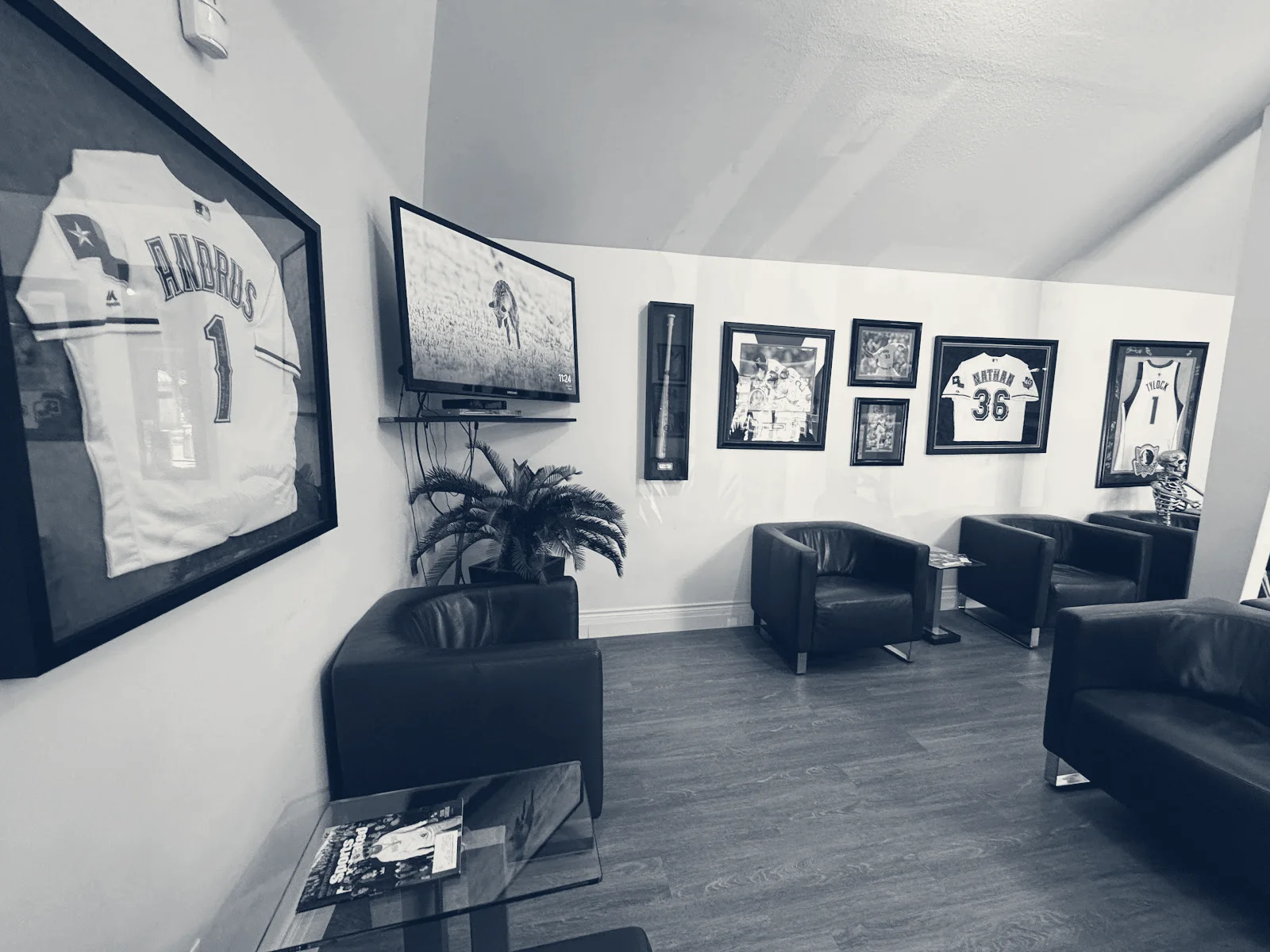 Dr. Taj Nasser — Irving, Texas