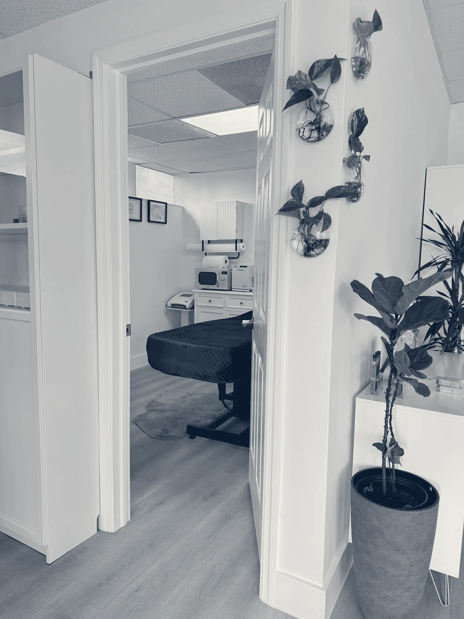 JVK Holistic Beauty Space — Hollywood, Florida