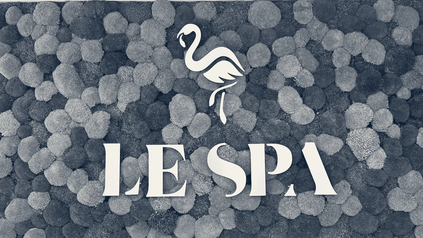 Le Spa Plastic Surgery — Oakland Park, Florida