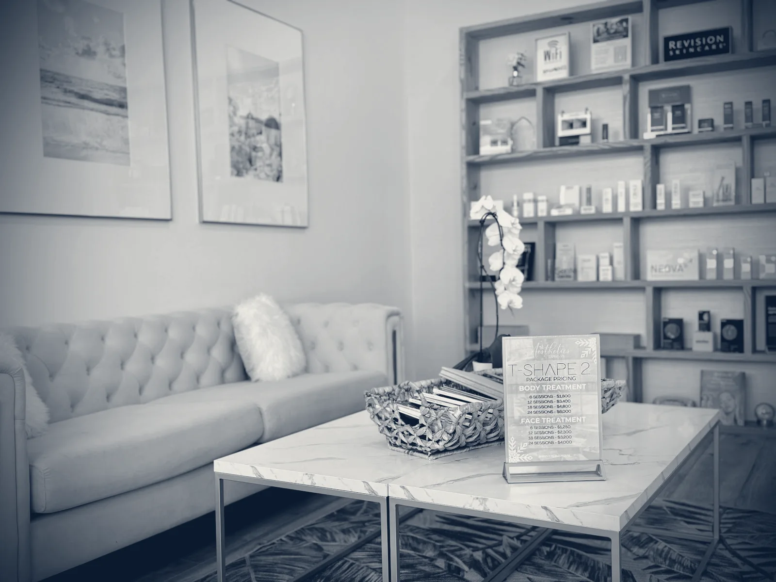 The Aesthetics Lounge and Spa Palm Beach Gardens — Palm Beach Gardens, Florida