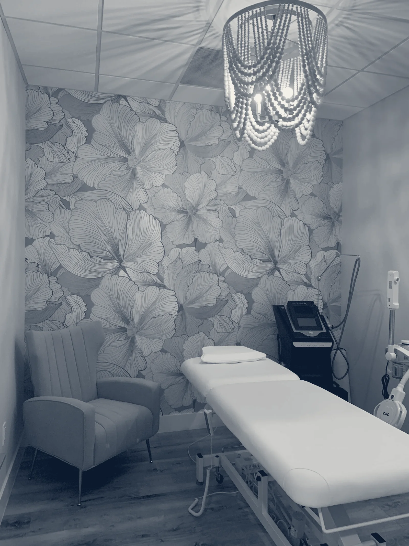 The Aesthetics Lounge and Spa Palm Beach Gardens — Palm Beach Gardens, Florida