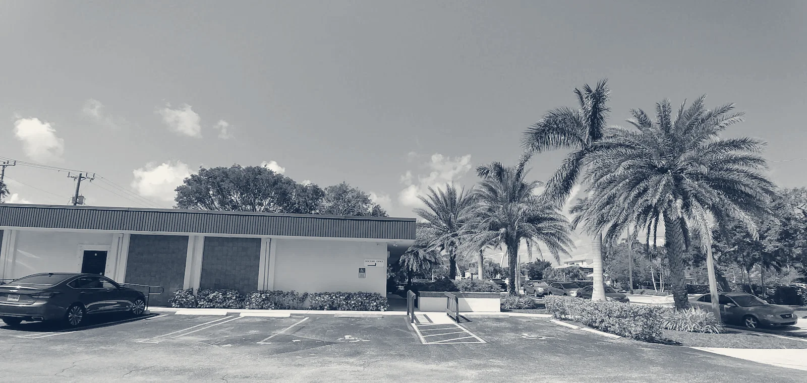 Dermatology Associates of the Palm Beaches — West Palm Beach, Florida