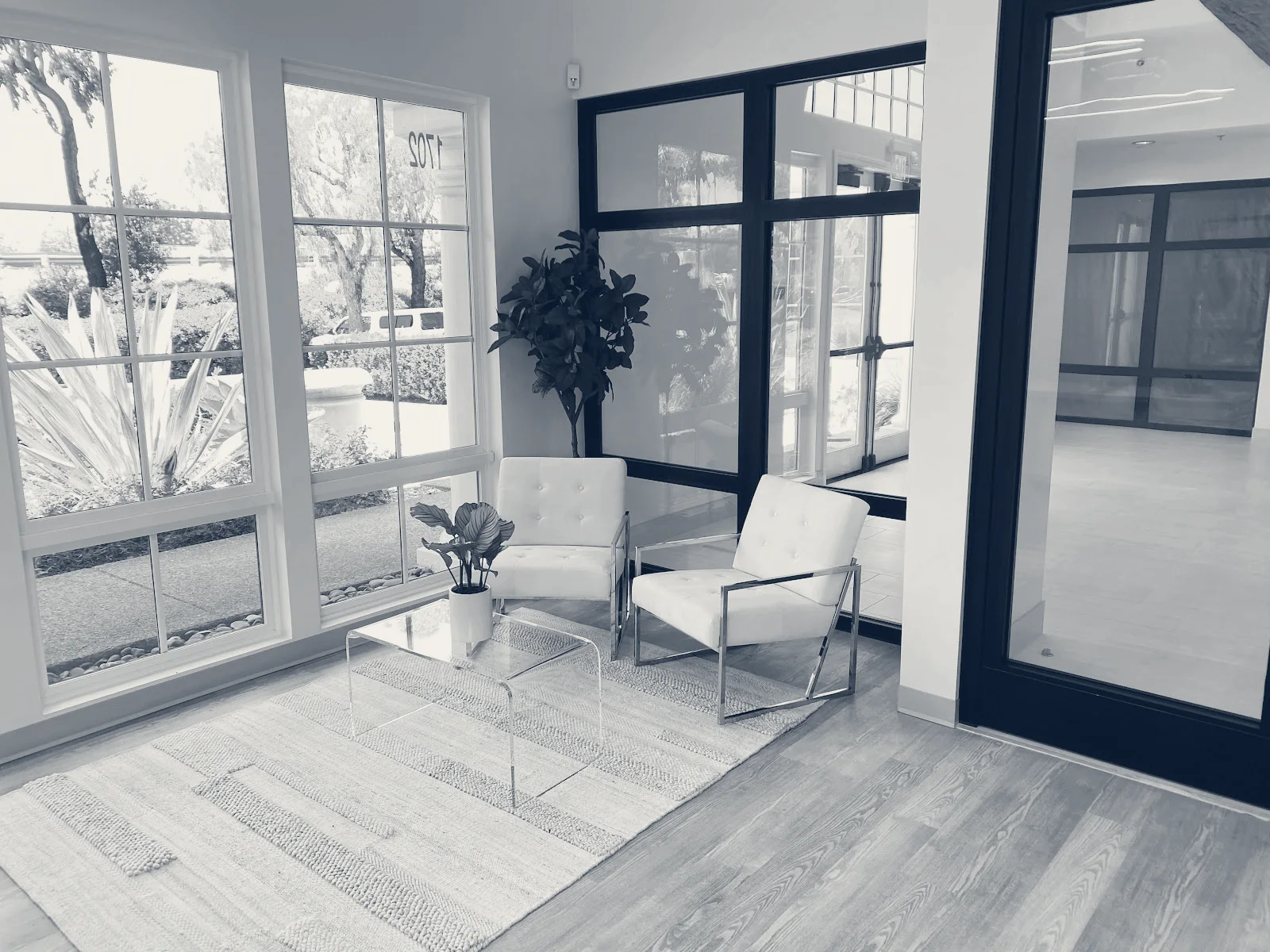 Clear Skin Circle — San Juan Capistrano, California