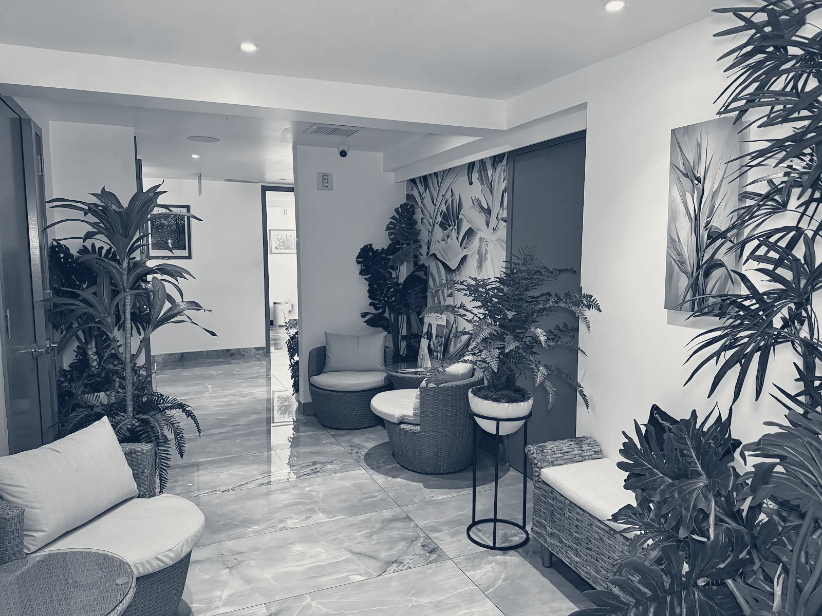 ZZ Med Spa — New York, New York