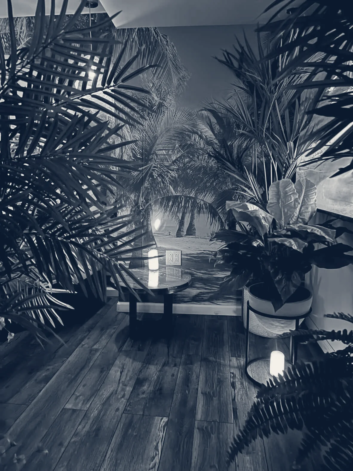 ZZ Med Spa — New York, New York