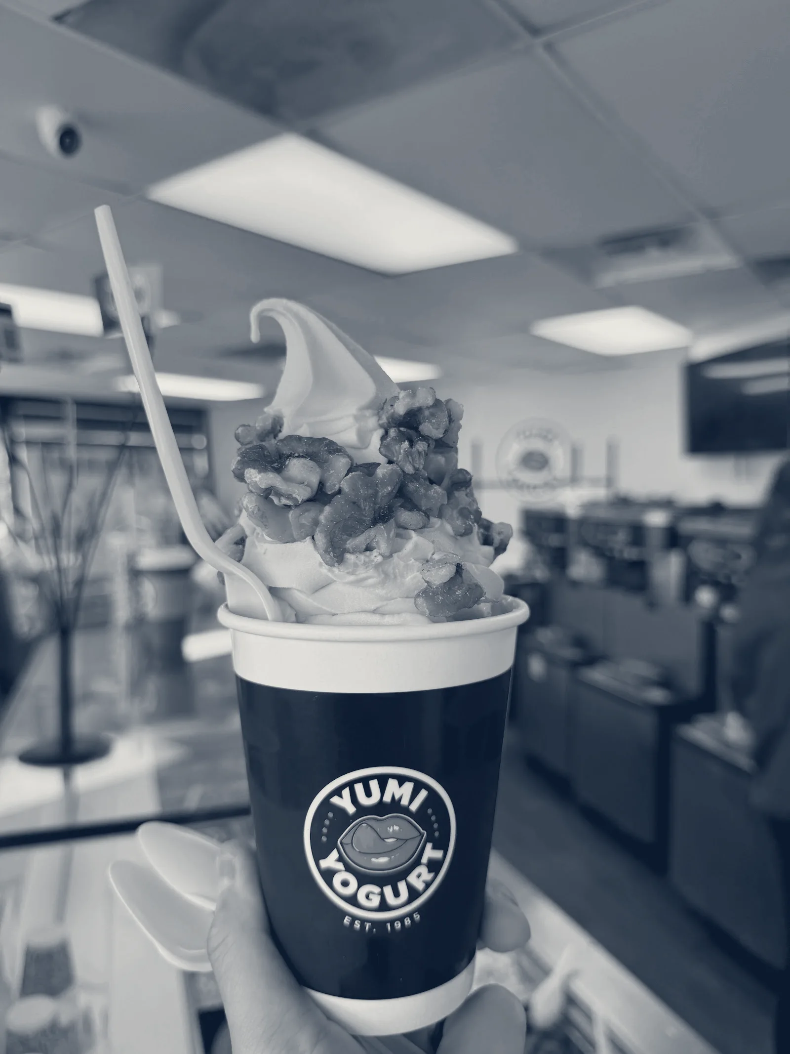Yumi Yogurt — San Mateo, California