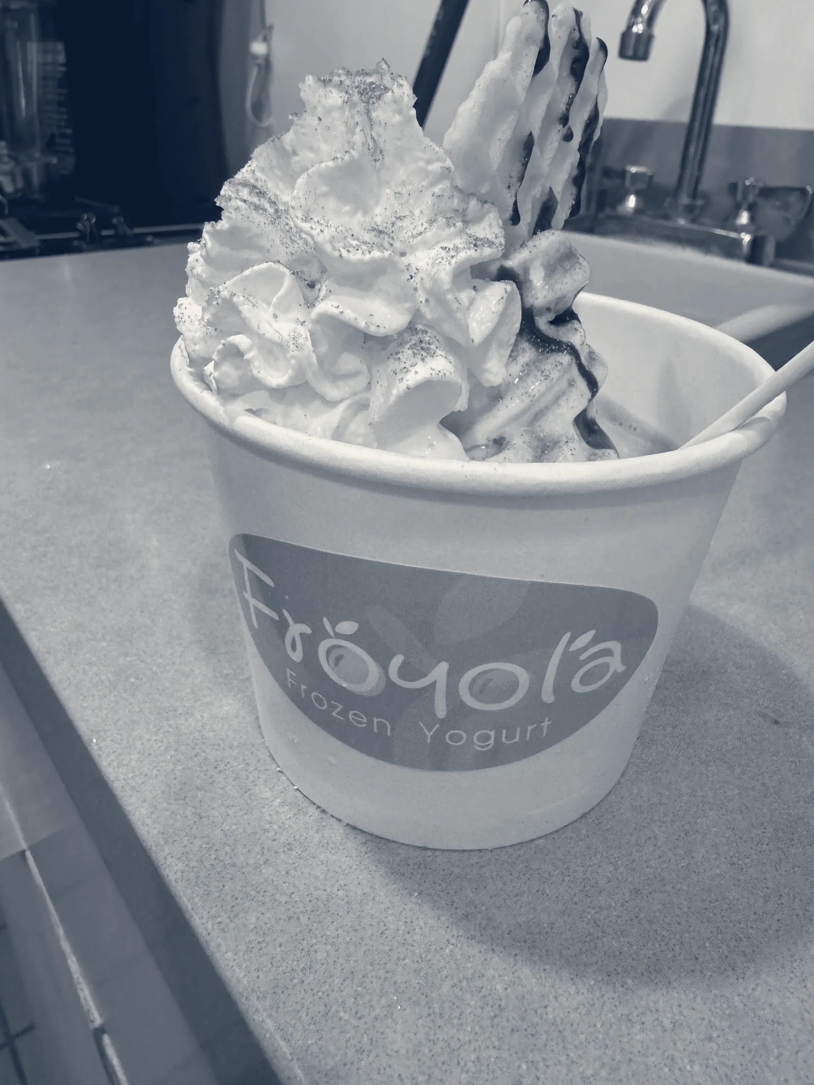 Froyola Premium Frozen Yogurt — Redwood City, California