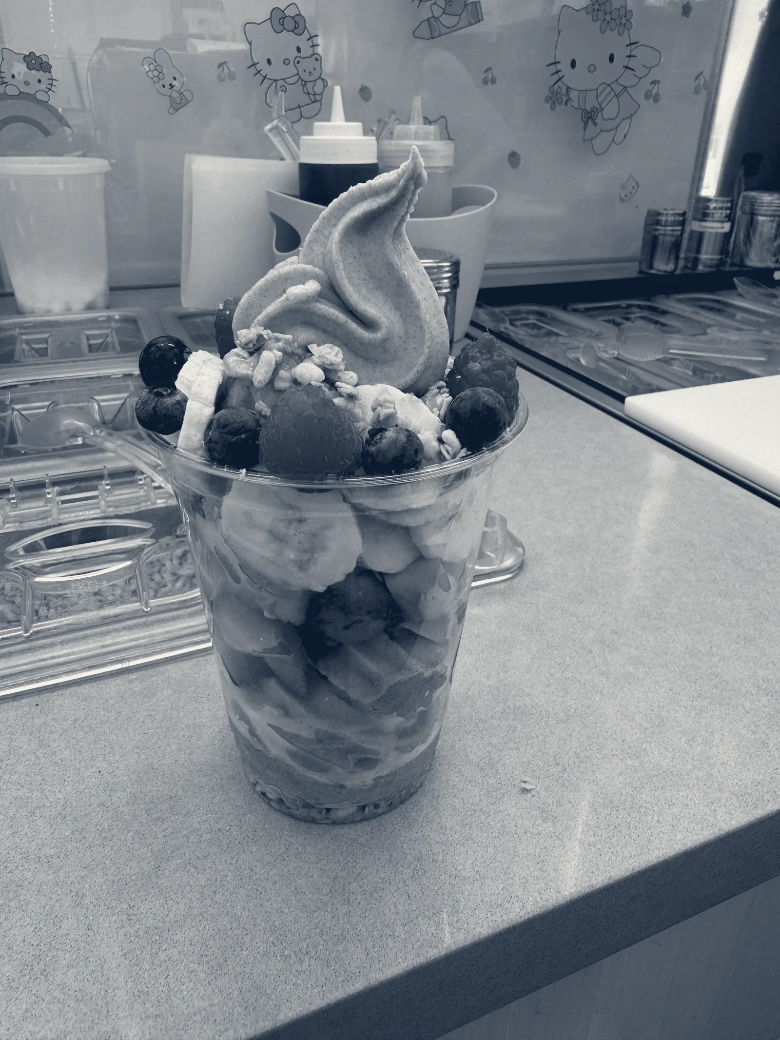 Froyola Premium Frozen Yogurt — Redwood City, California