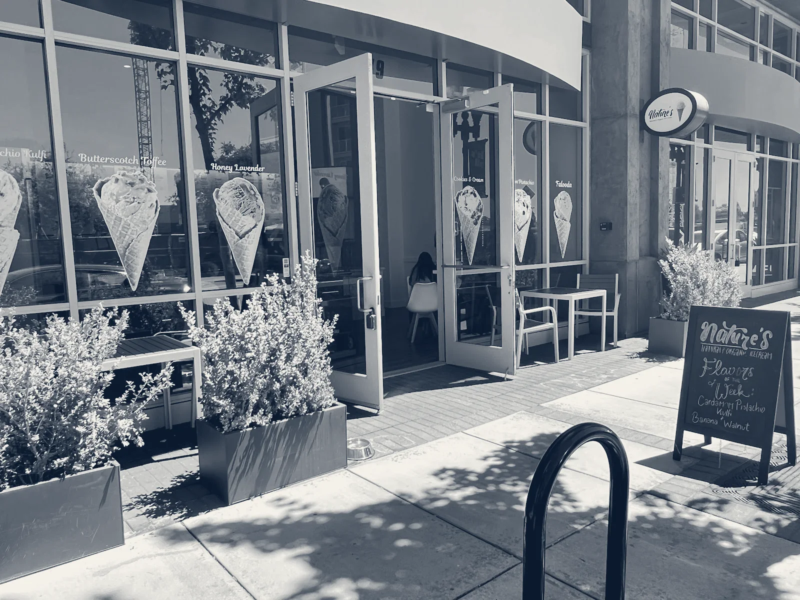 Nature's Organic Ice Cream (Sunnyvale) — Sunnyvale, California