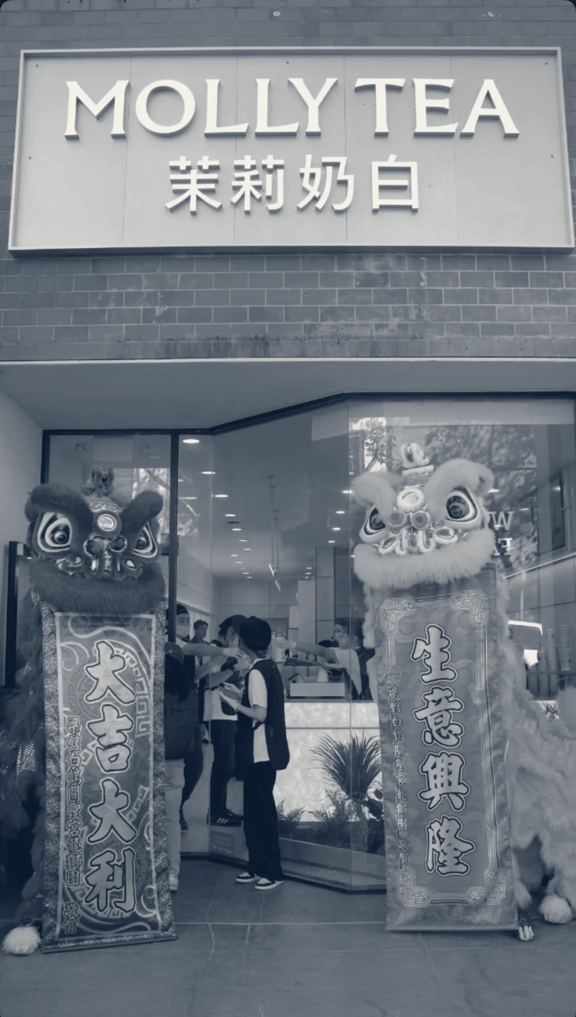 Molly Tea (Palo Alto) — Palo Alto, California