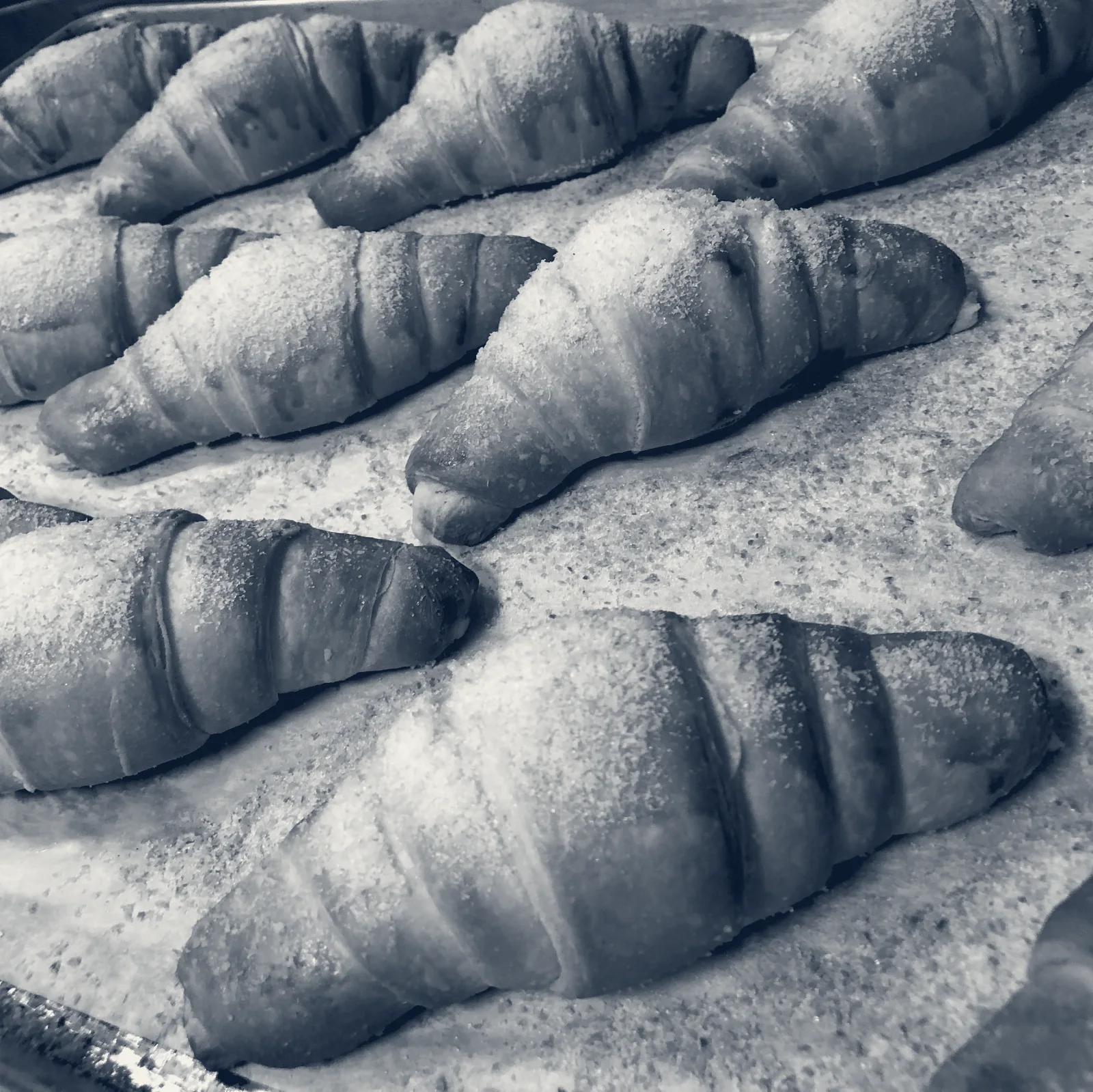 RicoPan LatinPastries — San Bruno, California