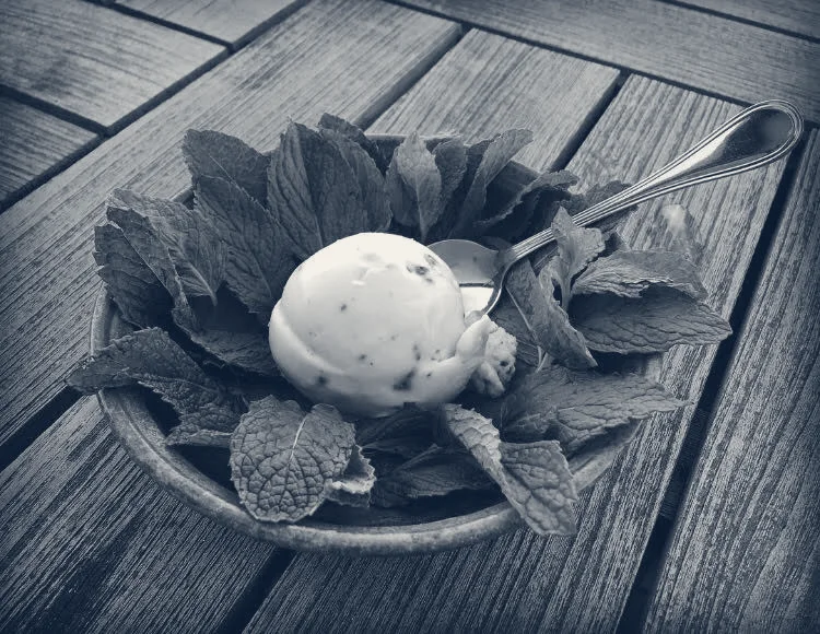San Francisco's Hometown Creamery — San Francisco, California
