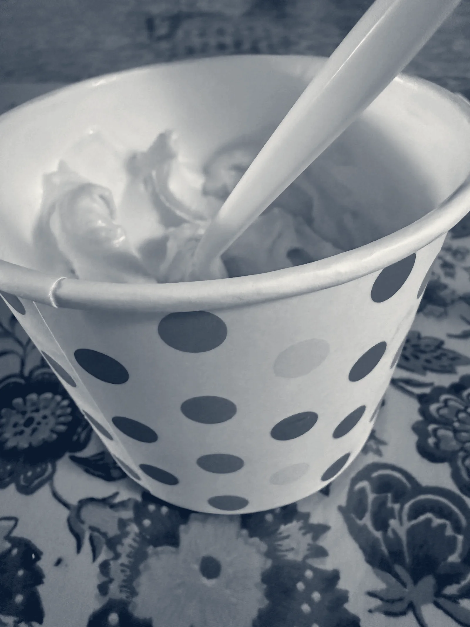 Yumi Yogurt — Santa Clara, California