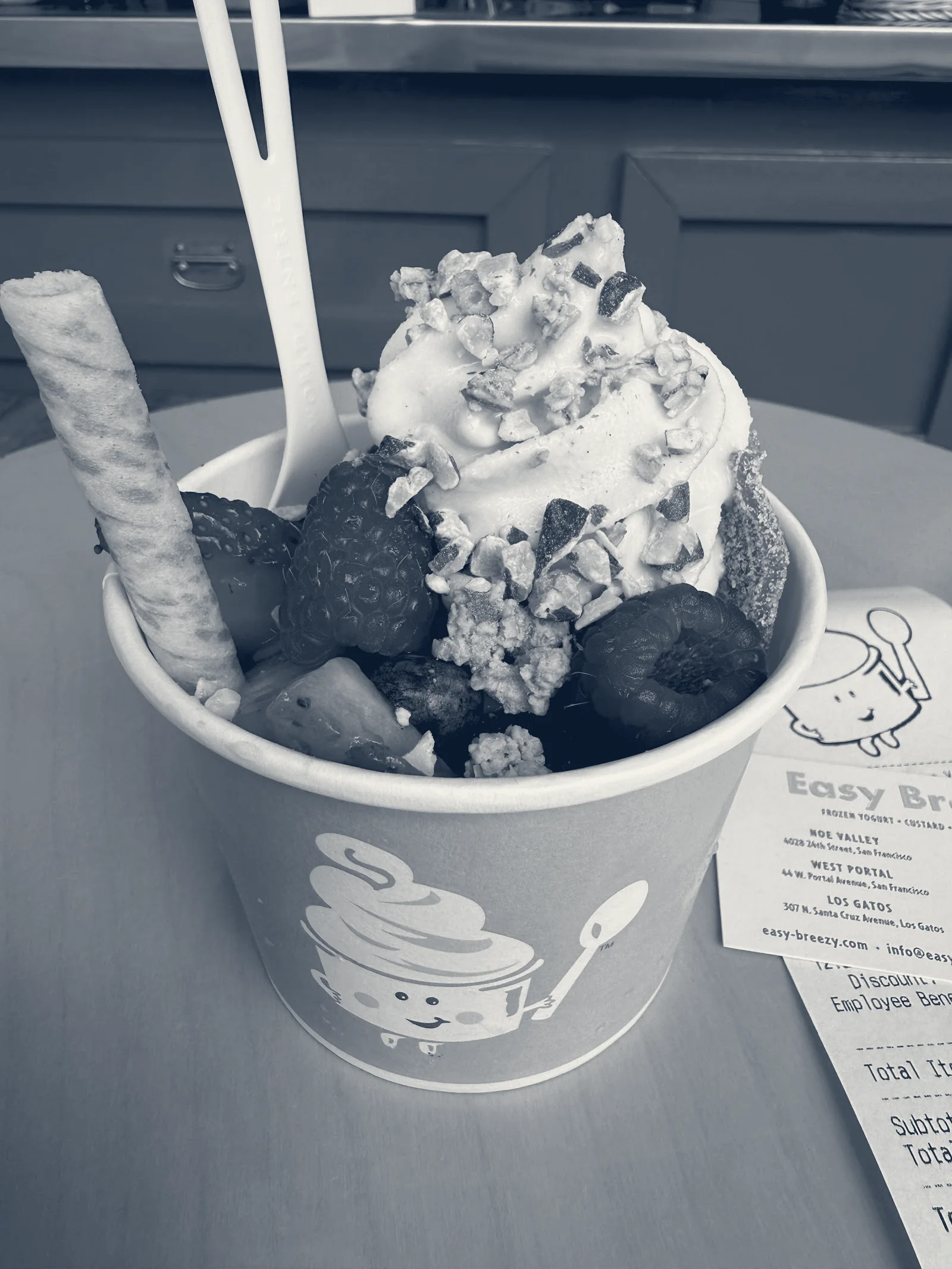 Easy Breezy Frozen Yogurt — San Francisco, California