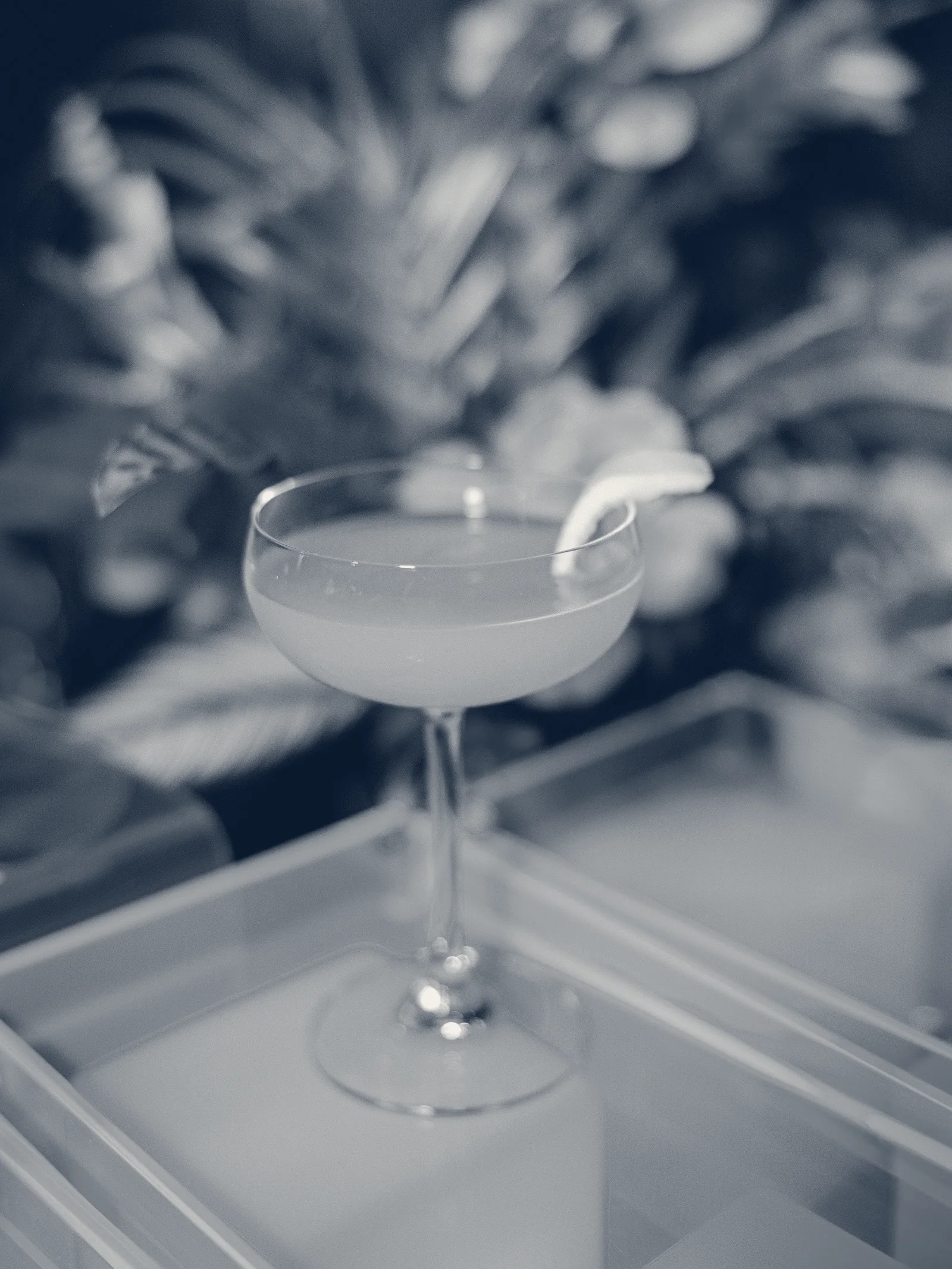 Tonic Beverage Catering — San Francisco, California