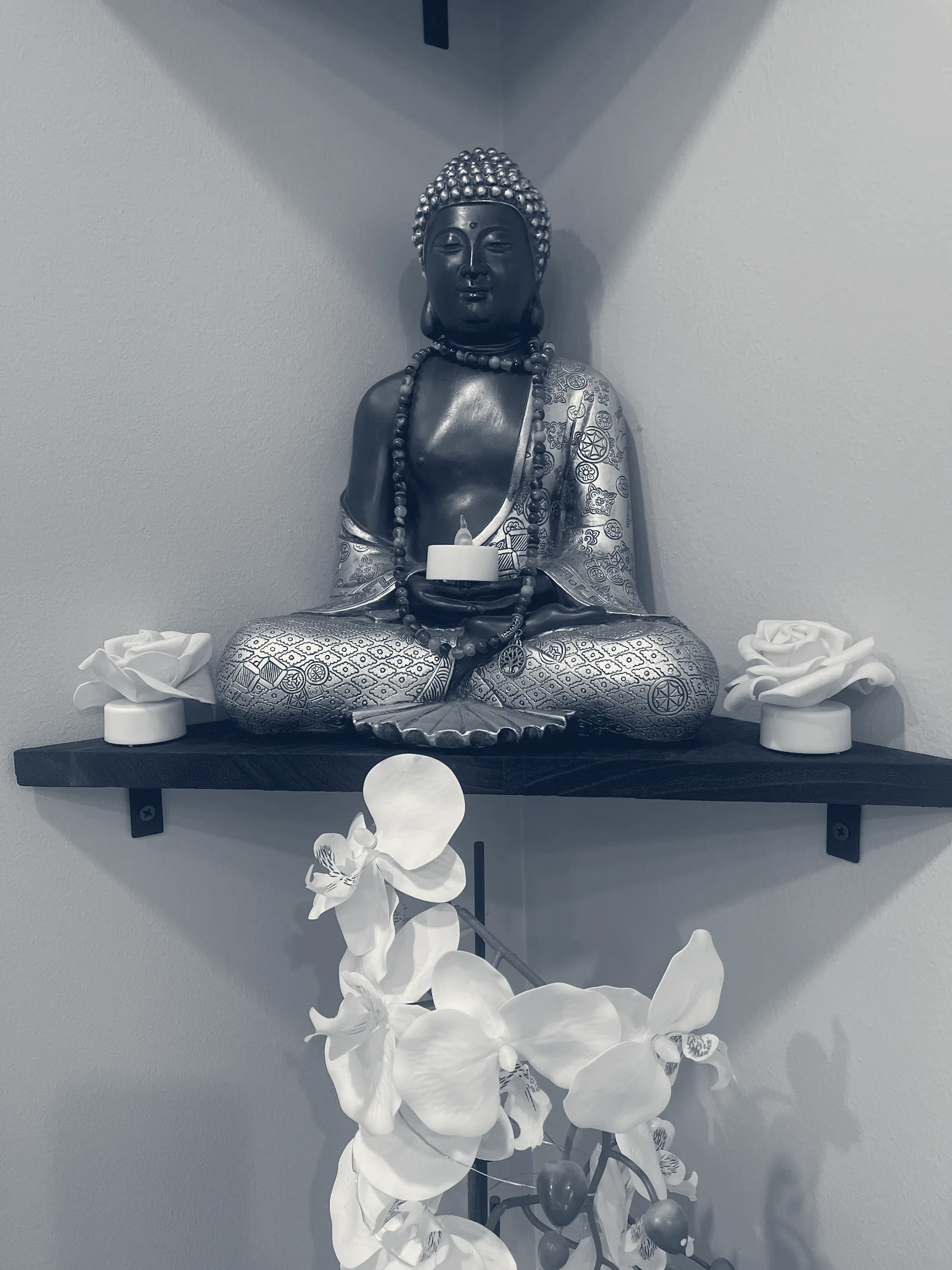 Buddha Baby Skincare — Plantation, Florida