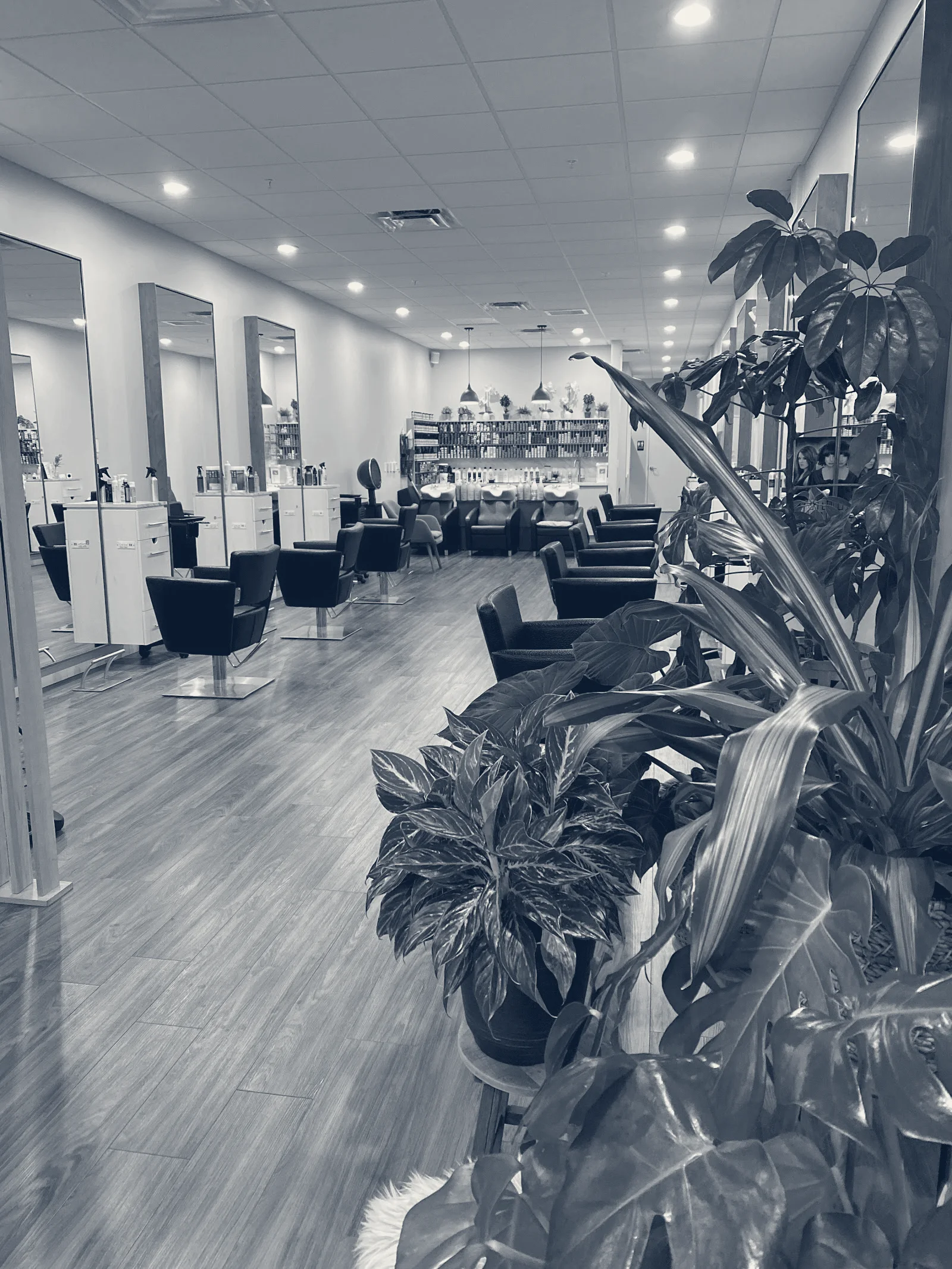 Inscape Beauty Salon — Davie, Florida